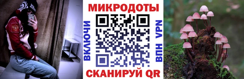 Галлюциногенные грибы MAGIC MUSHROOMS Нижний Новгород